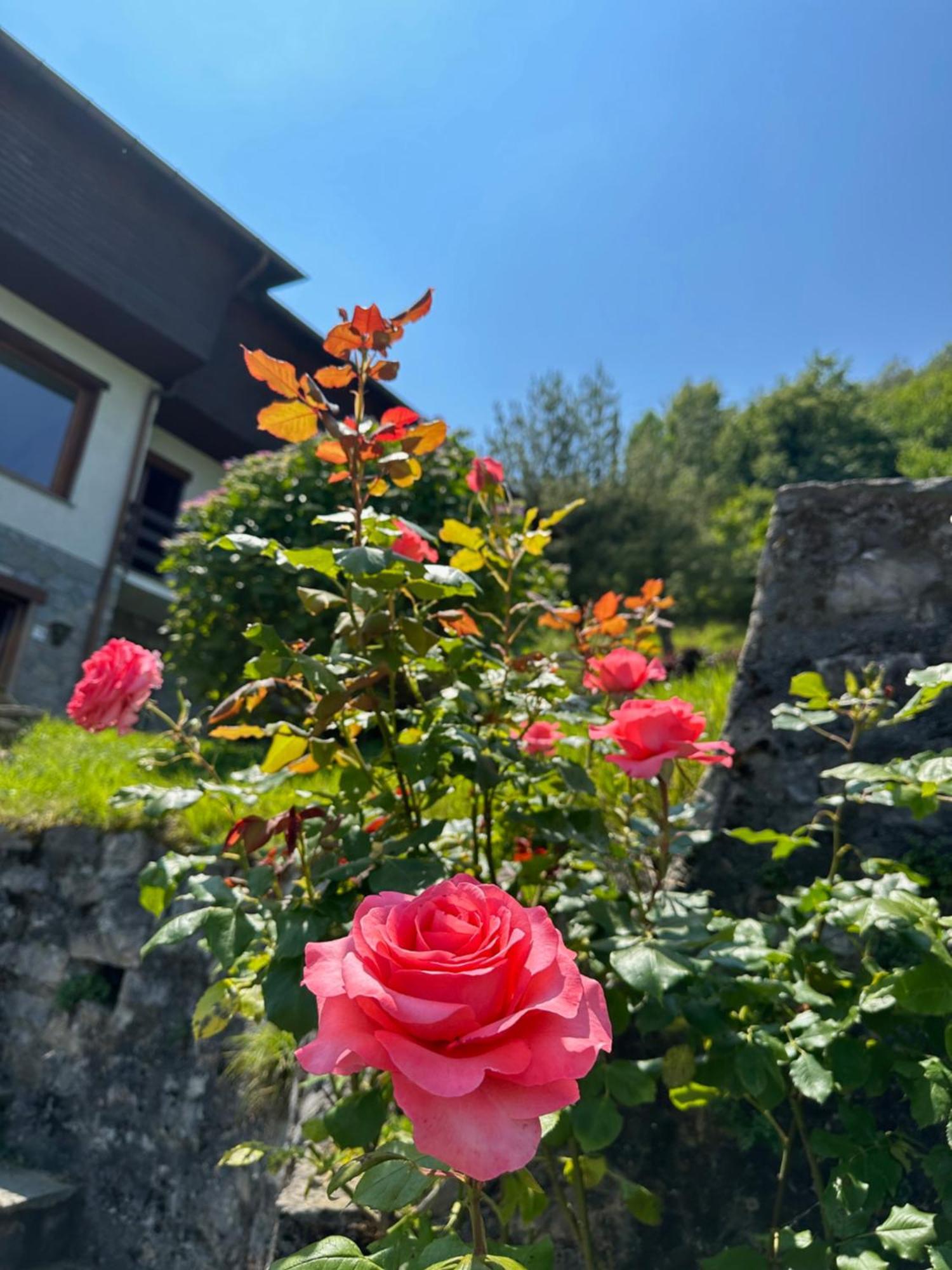 Villa D'Alba Guest House Civenna Exterior photo